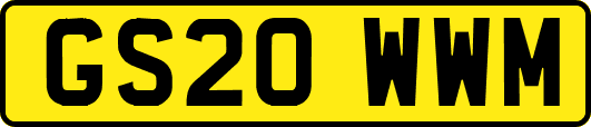 GS20WWM