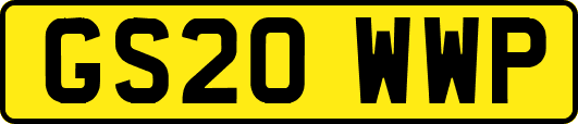 GS20WWP