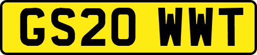 GS20WWT