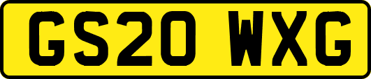 GS20WXG
