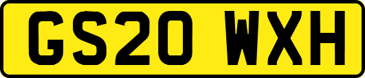 GS20WXH