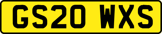 GS20WXS