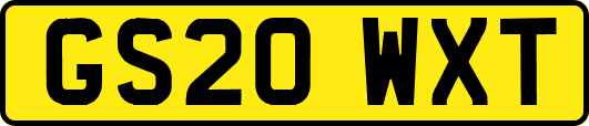 GS20WXT