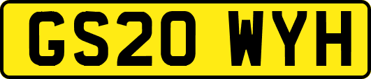 GS20WYH