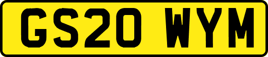 GS20WYM
