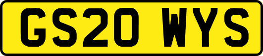 GS20WYS