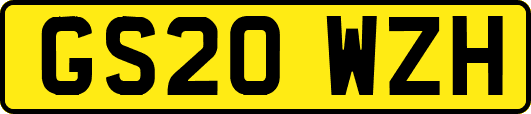 GS20WZH