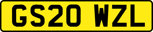 GS20WZL