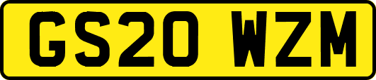 GS20WZM
