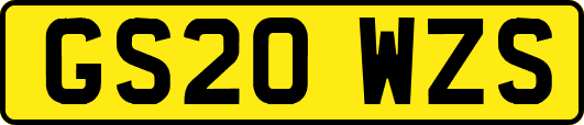 GS20WZS