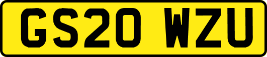 GS20WZU