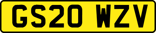GS20WZV