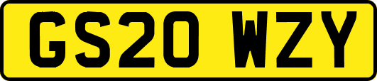 GS20WZY