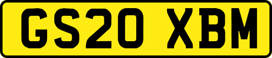 GS20XBM