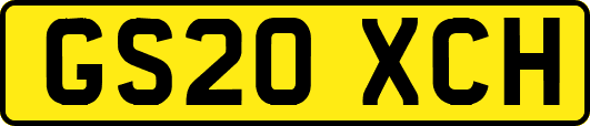 GS20XCH
