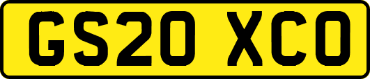GS20XCO