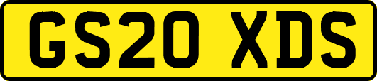 GS20XDS