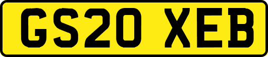 GS20XEB