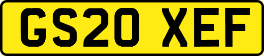 GS20XEF