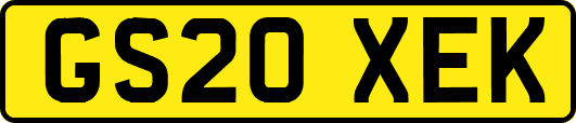 GS20XEK