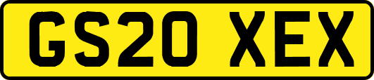 GS20XEX
