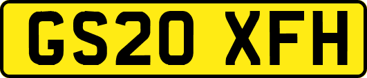 GS20XFH
