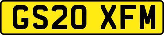GS20XFM