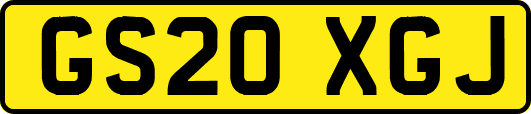 GS20XGJ
