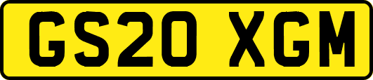 GS20XGM