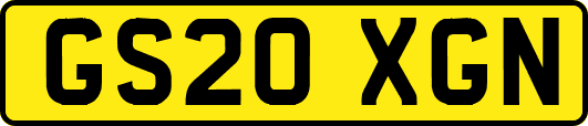 GS20XGN