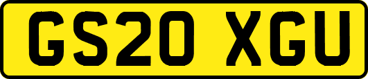 GS20XGU