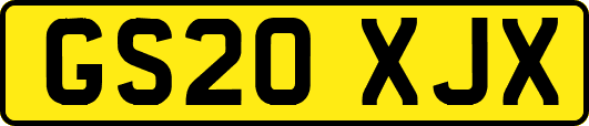 GS20XJX