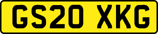 GS20XKG