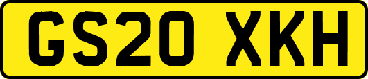 GS20XKH