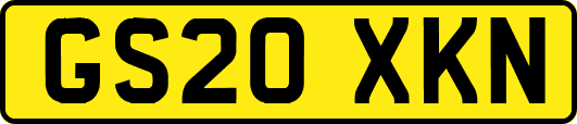 GS20XKN