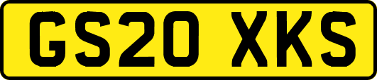 GS20XKS
