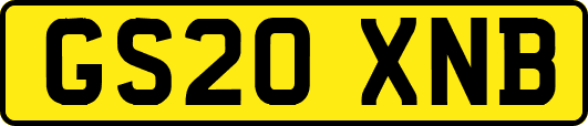 GS20XNB