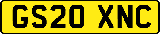GS20XNC