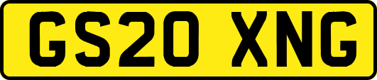 GS20XNG