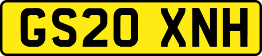 GS20XNH