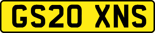 GS20XNS
