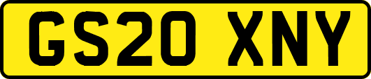GS20XNY