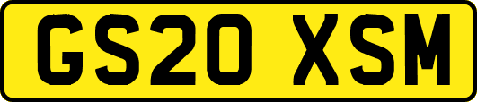 GS20XSM