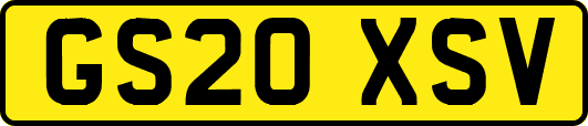 GS20XSV