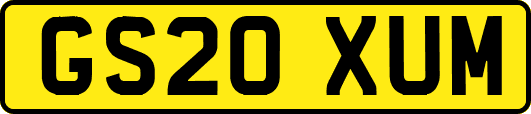 GS20XUM