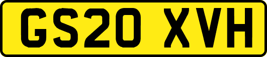 GS20XVH