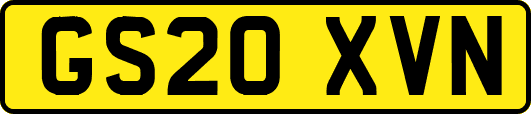 GS20XVN