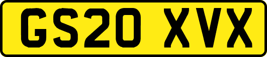 GS20XVX