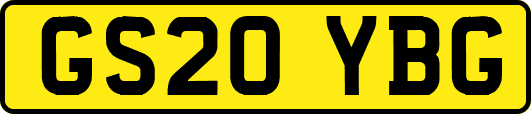GS20YBG