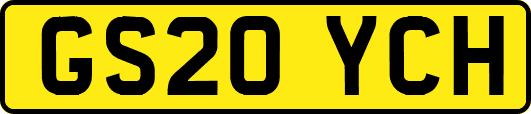 GS20YCH